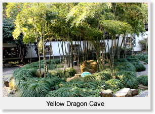 Yellow Dragon Cave