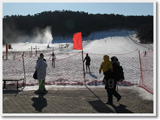 Strawberries Picking and Snow World Tour