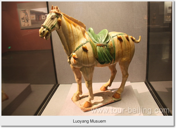   Luoyang Musuem 