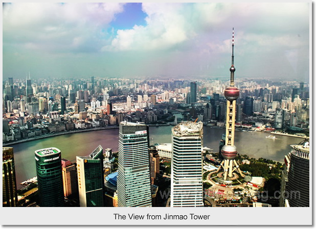 The View from Jinmao Tower