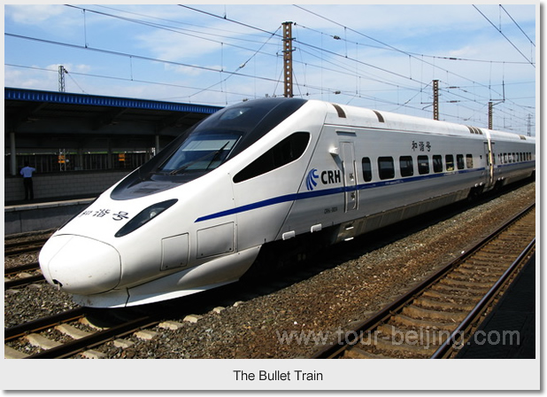  The Bullet Train