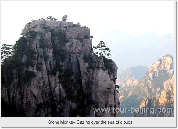 Stone Monkey Gazing over the sea of clouds （猴子观海）