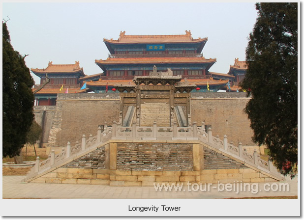  Longevity Tower