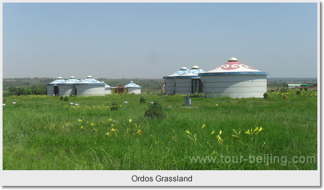 Ordos Grassland
