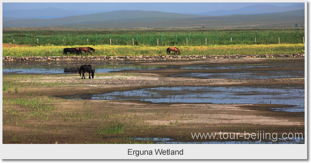 Erguna Wetland