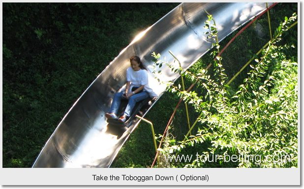 Take the toboggan down (Optional)