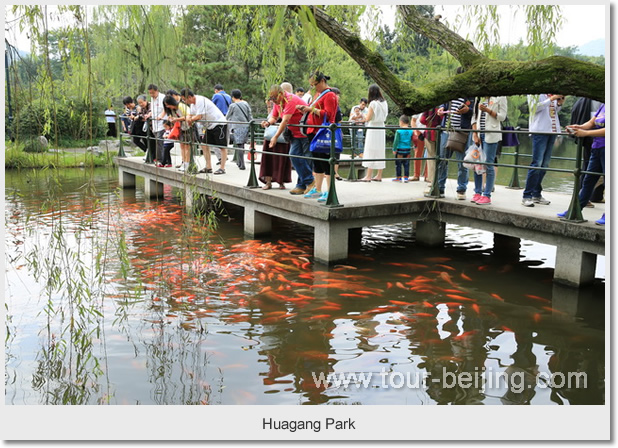  Huagang Park 