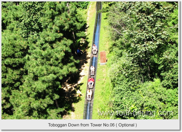 Toboggan Down from Tower No.06 ( Optional )