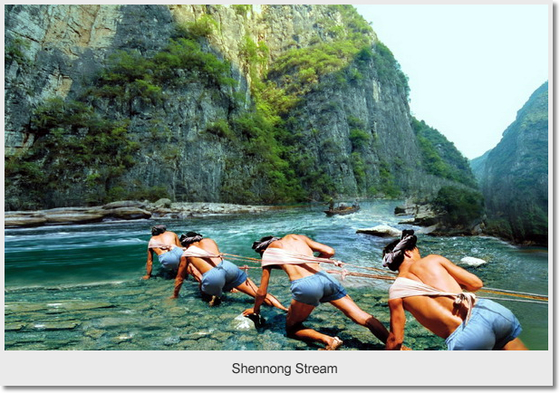  Shennong Stream