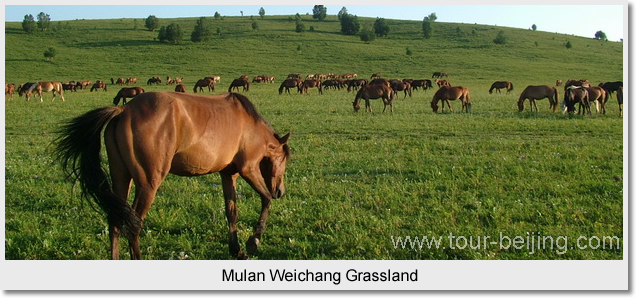 Mulan Weichang Grassland