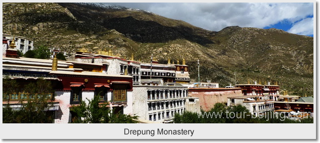  Drepung Monastery 