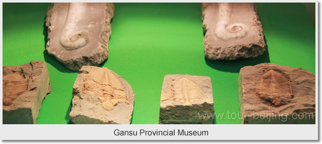 Gansu Provincial Museum