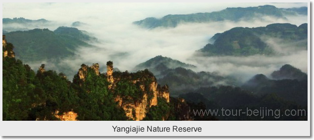 Yangiajie Nature Reserve