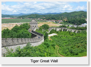 Tiger Great Wall