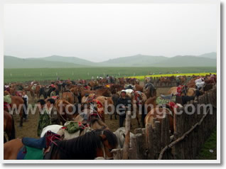 Chengde One Day Private Tour