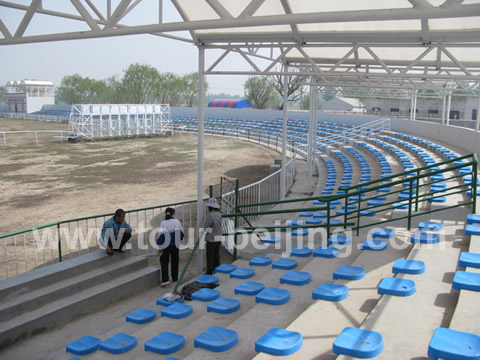 Platform by the horse course