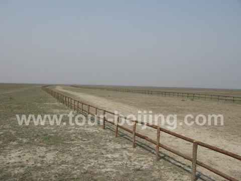 Horse Course