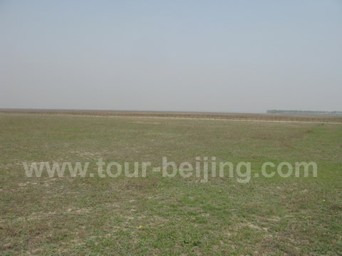Horse Course