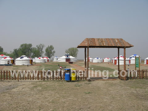 20 yurts