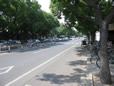 The Road in front of the hotel