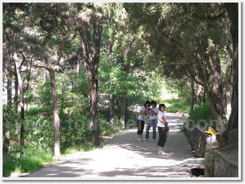 We listened to the bird singing in the Lianfeng Peaks.