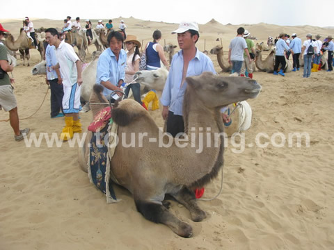 Our Trip to the Resonant Sand Gorge in Baotou