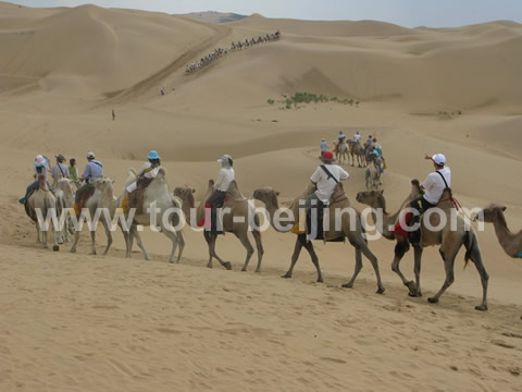 Our Trip to the Resonant Sand Gorge in Baotou