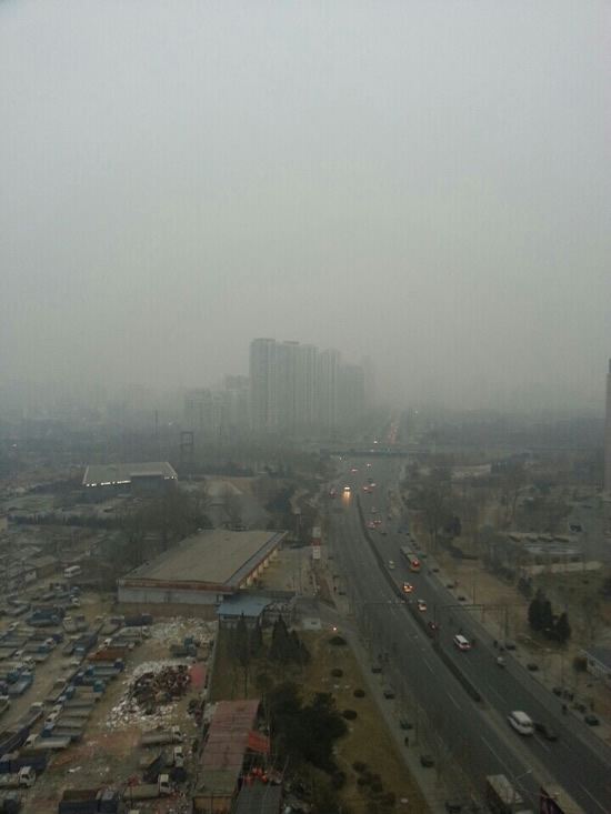 Place: Chaoyang Park Bridge Road, Beijing The Photo taken time: 07:13amPlace: Chaoyang Park Bridge Road, Beijing The Photo taken time: 07:13am