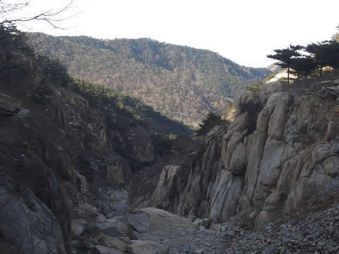 Peach Blossom Valley on Mt.Tai, Shandong