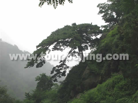 Tianzhu Peak on Mt. Tai, Shandong