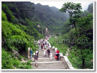 Taishan One Day Private Tour