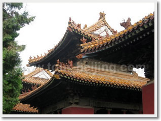 Qufu One Day Private Tour