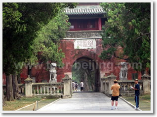 Qufu One Day Private Tour