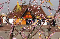 Shanghai Taoyuan Folk-Custom Village