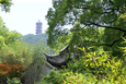 Xi Hui Park