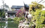 The Humble Administrator's Garden in Suzhou