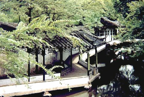 Lion Grove Garden