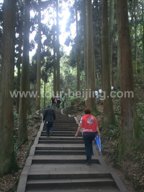 Hiking on the way to the cable station