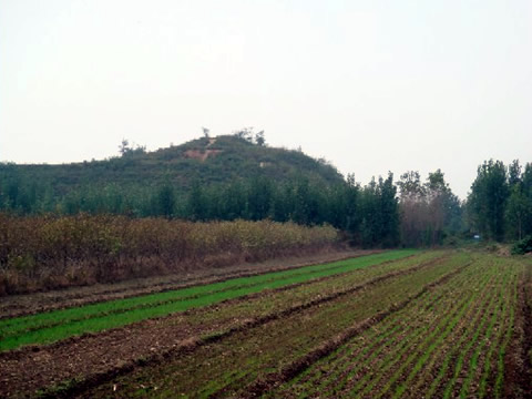 Xian Wei Yang Palace Site