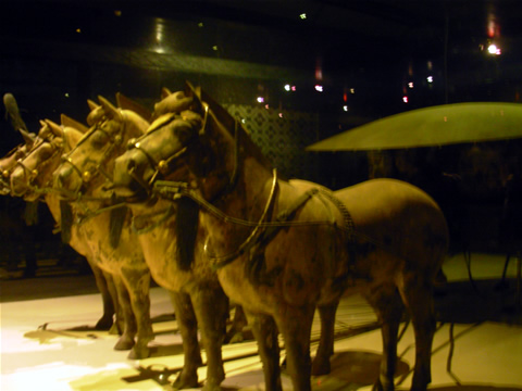 Xian Western Zhou Chariot Burial Pit